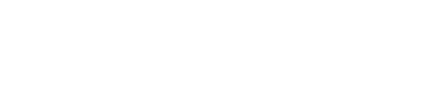 MSC | Developer Services Logo